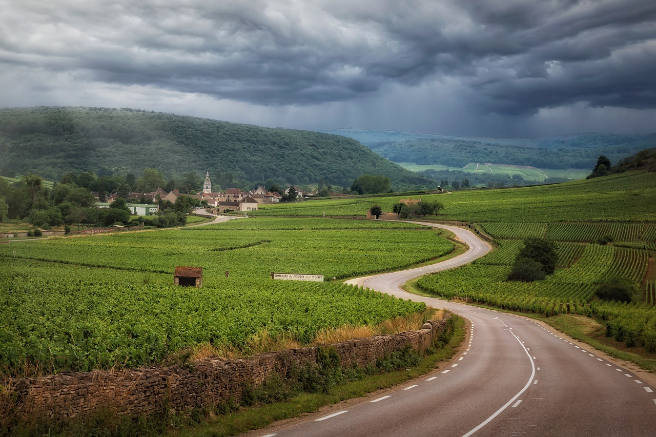 road, vineyards, clouds-6560656.jpg